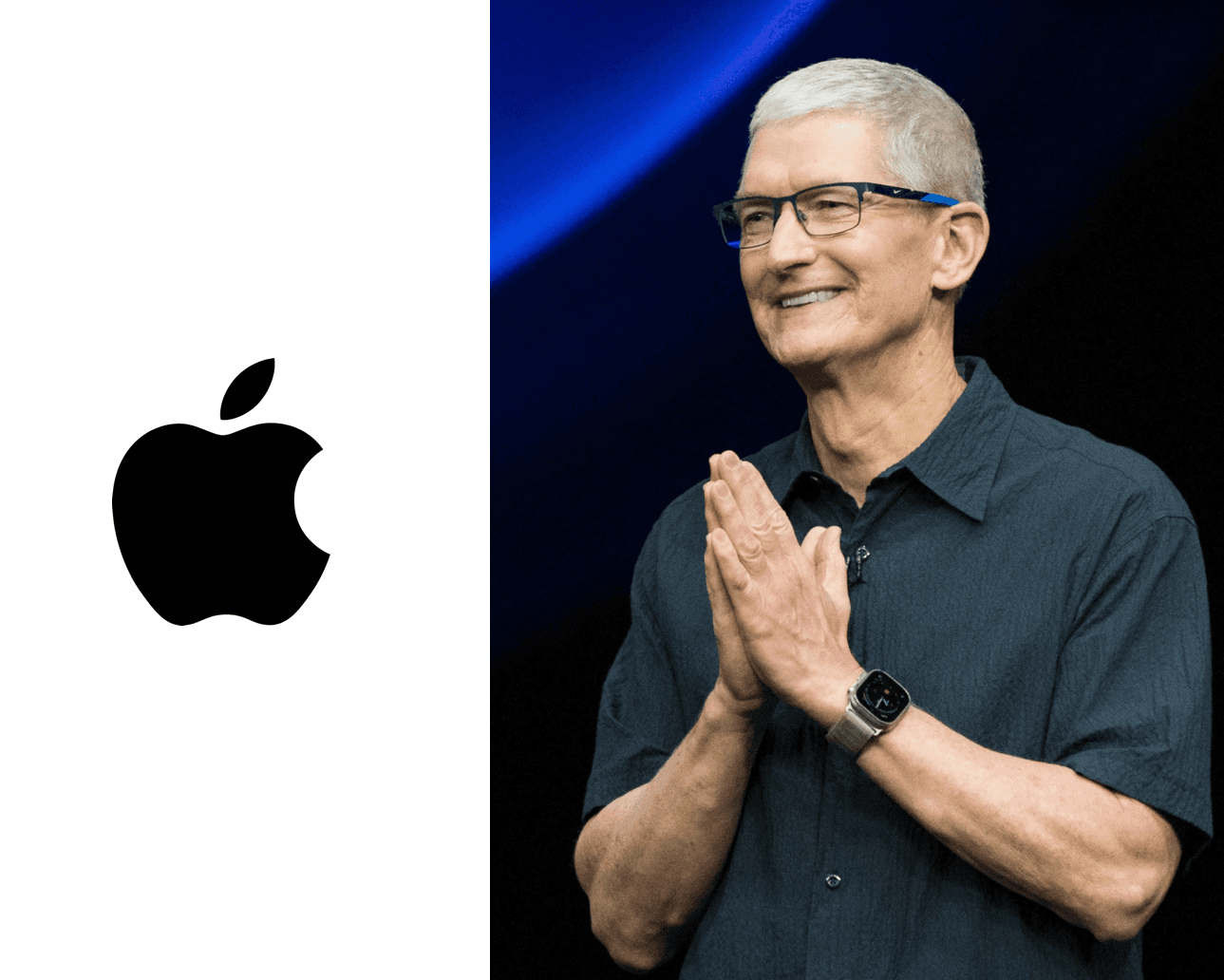 FluentMD highlights finance entities correctly